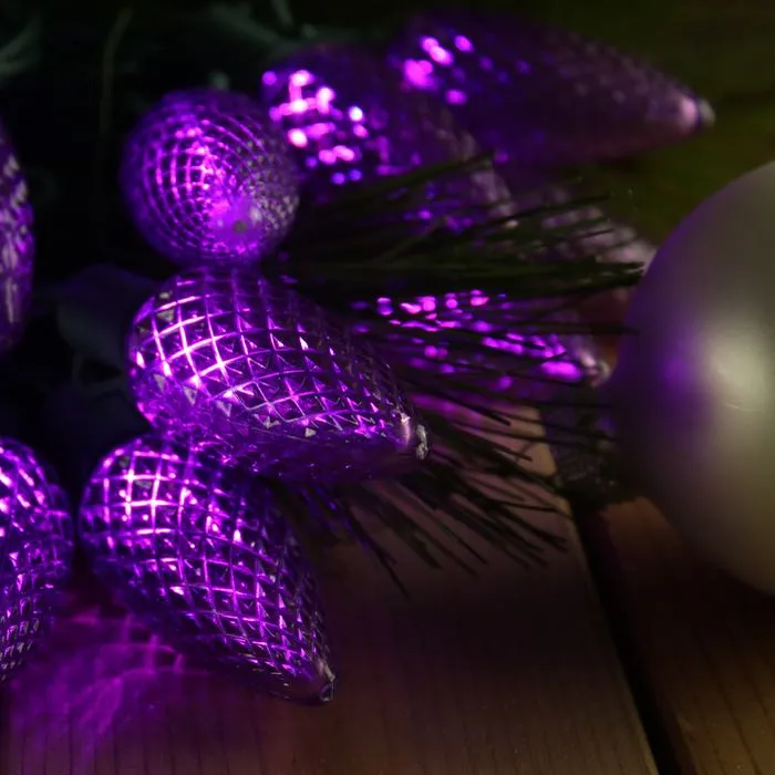 25-light C9 Purple LED Christmas Lights, 8" Spacing Green Wire