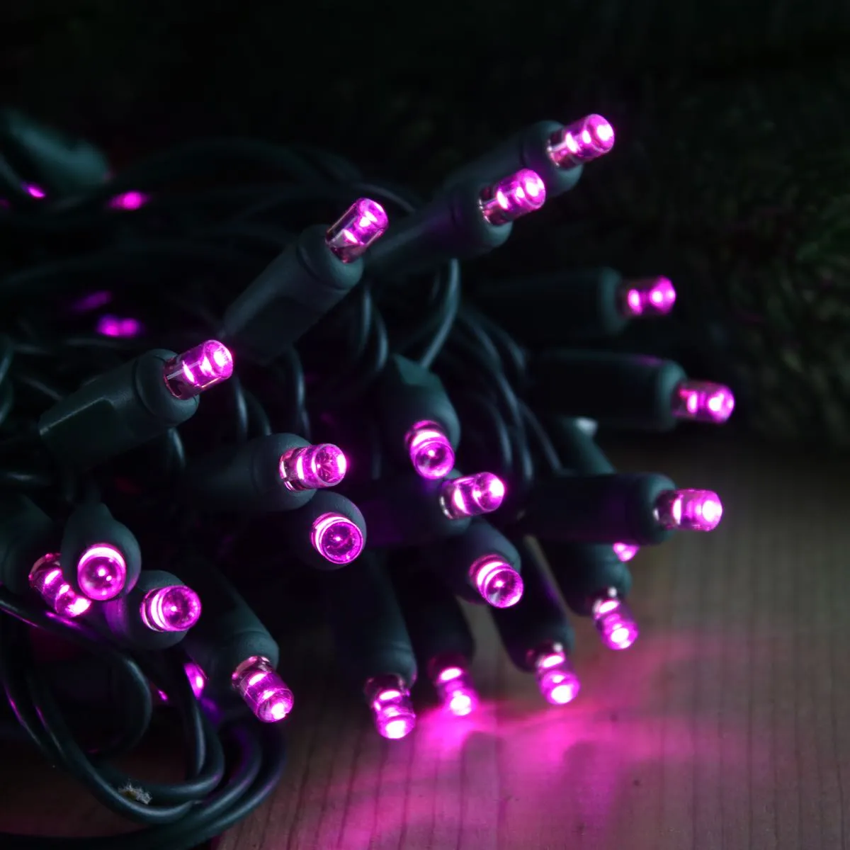 50-light  5mm Purple LED Christmas Lights, 4" Spacing Green Wire