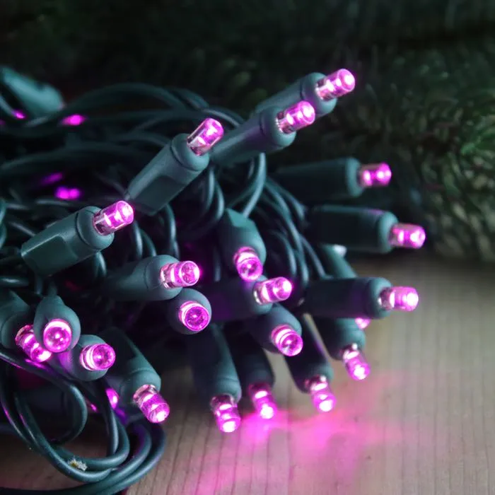 50-light  5mm Purple LED Christmas Lights, 4" Spacing Green Wire