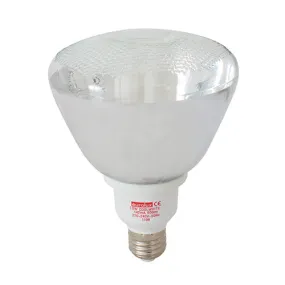 CFL PAR38 E27 18w Cool White