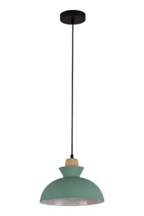 Charlotte Pendant 280Mm Green & Wood