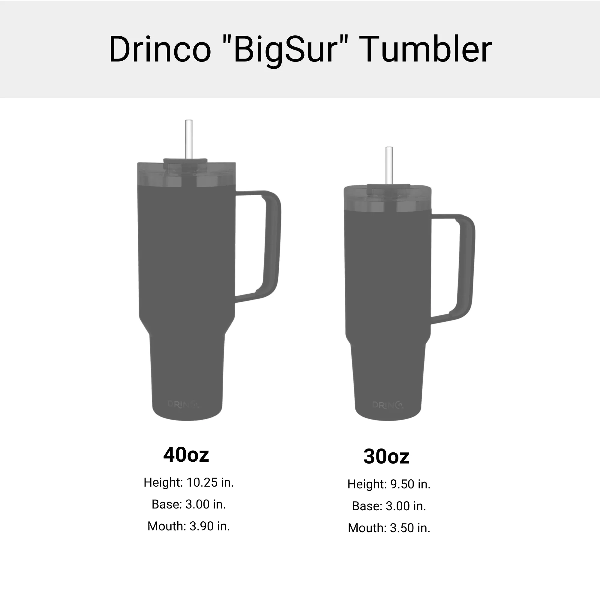 DRINCO® 40oz BugSur Tumbler with Handle - Kiwi