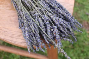 French Lavender Fragrant