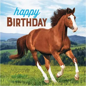 Horse & Pony Happy Birthday Napkins - Lunch 16 Pkt