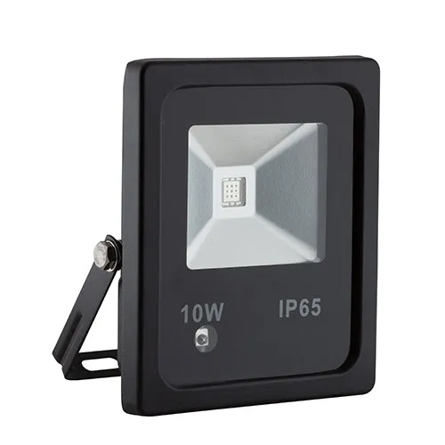 LED 10w Floodlight Black RGB & Remote