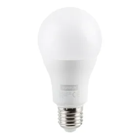 LED A60 Globe 15w E27 Cool White Opal