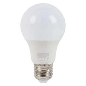 LED A60 Globe Opal E27 7w CW Twin Pack