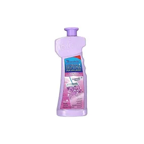 LOYAL Concentrated Household Deodorizer 700 Ml