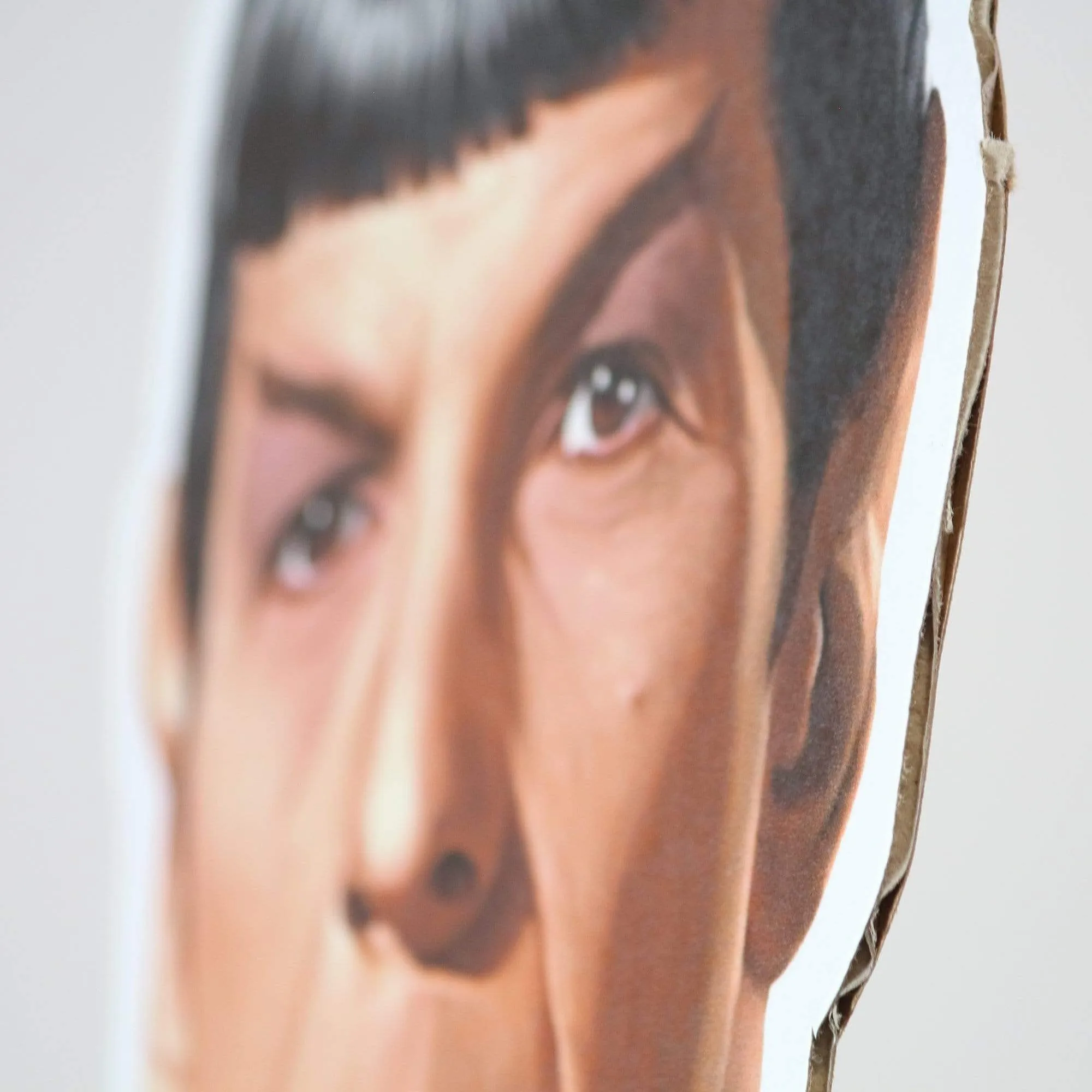 Mr. Spock Vulcan Salute  Life-Size Cardboard Cutout - Officially Licensed Star Trek Merchandise