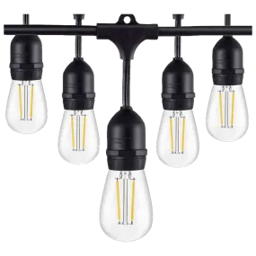 SL101 LED Low Voltage Bistro String Lights 48 FT Outdoor Weatherproof 12V Edison Bulbs