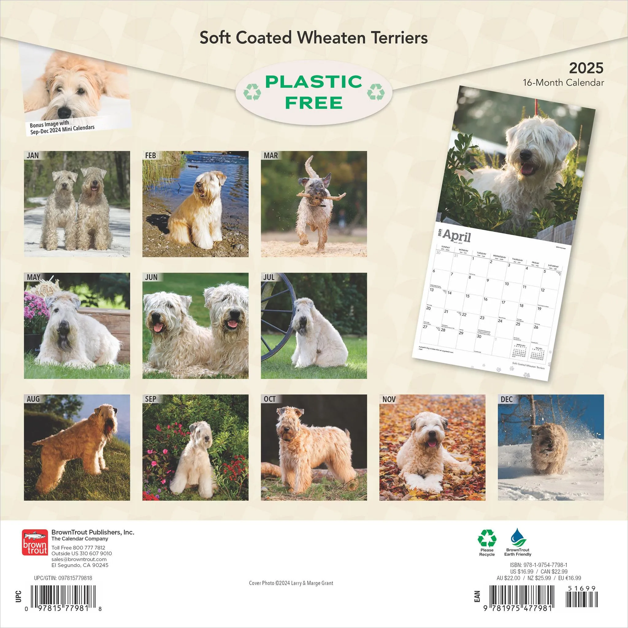 Wheaten Terriers Soft Coated Wall 2025 Calendar