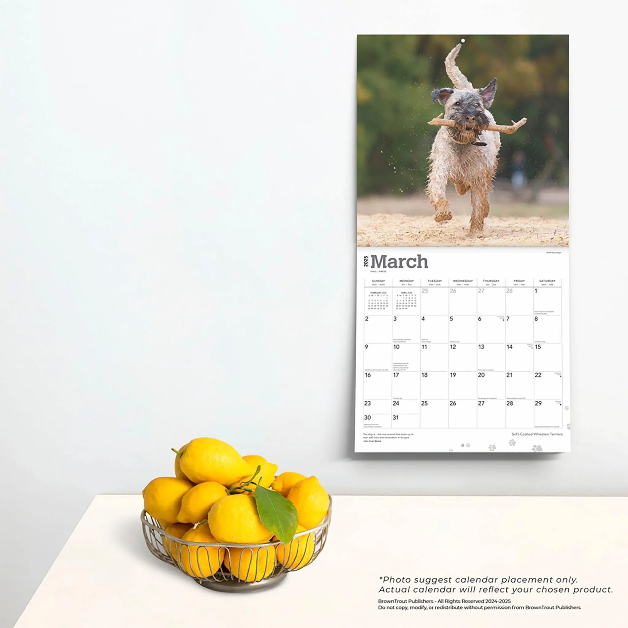 Wheaten Terriers Soft Coated Wall 2025 Calendar